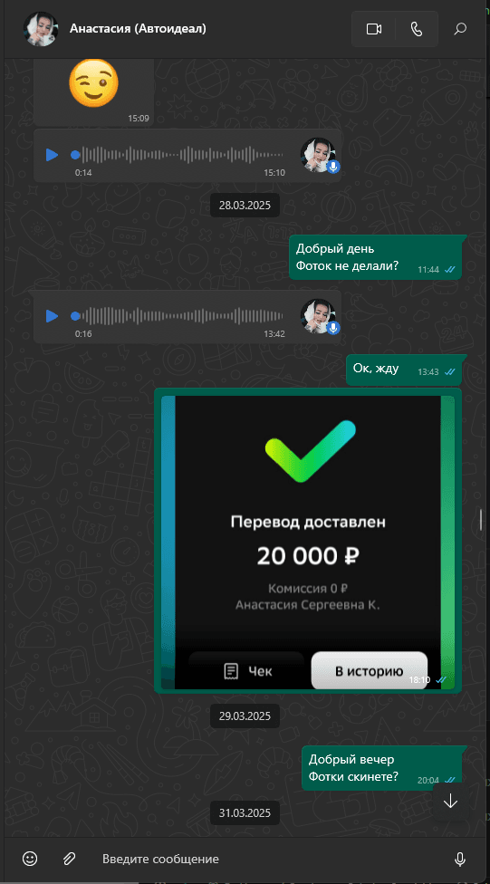 Скриншот перевода 4